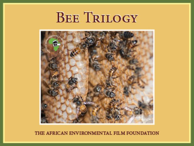 Bee Trilogy Film by AEFF